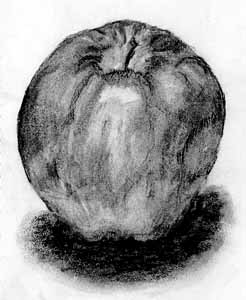 Drawing of an apple